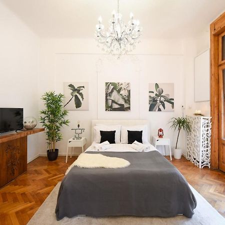 Vintage Elegance, Modern Comfort: 1Br Apartment Overlooking Calea Victoriei Bukares Bagian luar foto