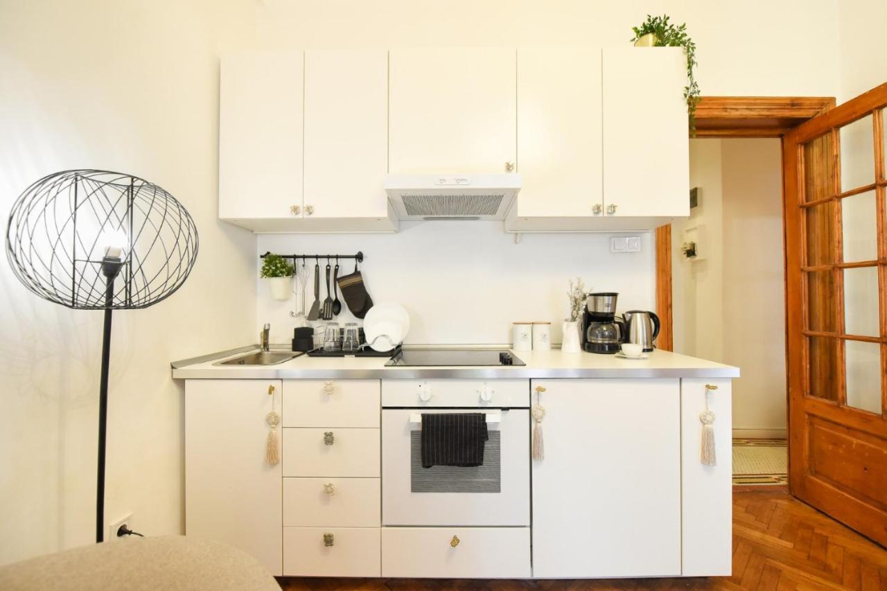 Vintage Elegance, Modern Comfort: 1Br Apartment Overlooking Calea Victoriei Bukares Bagian luar foto